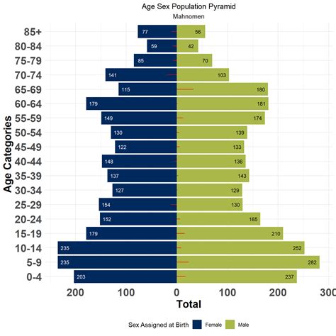 Demographics – 2022-2024 Community Health Assessment