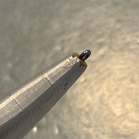 Yahoo!オークション - ダイワ ショアラインシャイナーZ バーティス 97F...