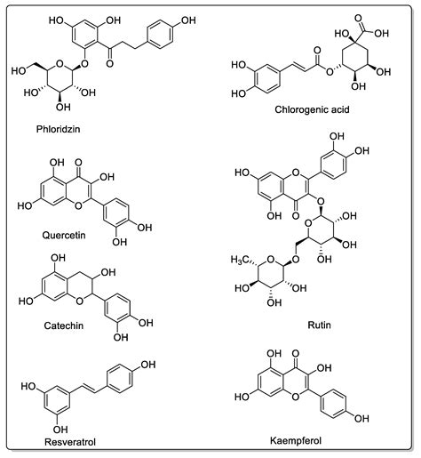 Flavonoids and Furanocoumarins Involved in Drug Interactions