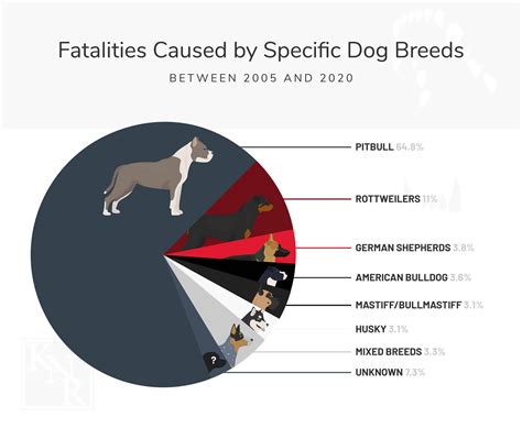 What are the Dog Breeds That Frequently Bite Humans? | KNR