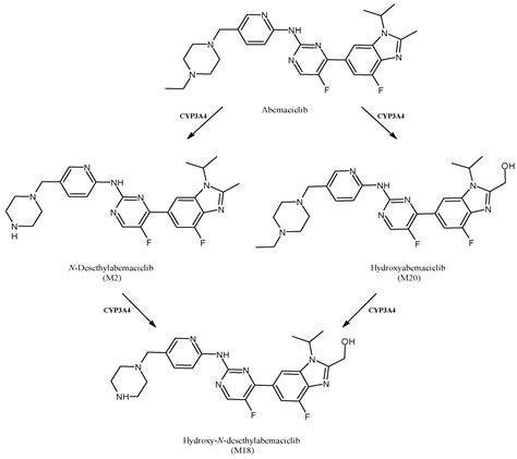 Impact of Cytochrome P450 Enzymes on the Phase I Metabolism of Drugs