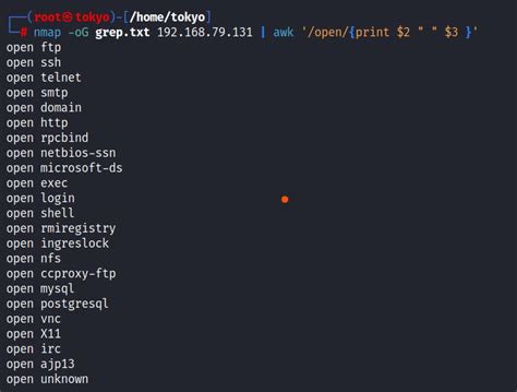 Nmap Output Examples 的图像结果