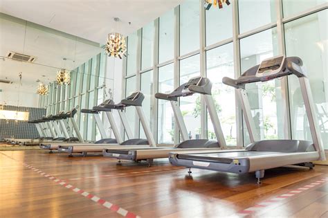 Gym Stock Photos 的图像结果