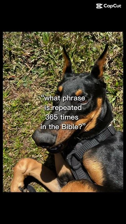 What phrase says in the bible 365 times - YouTube