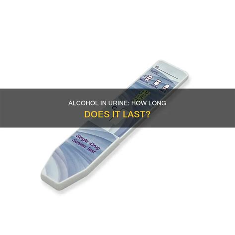 Alcohol In Urine: How Long Does It Last? | CyAlcohol