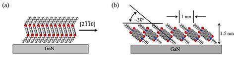 Growth and Properties of Ultra-Thin PTCDI-C8 Films on GaN(0001)