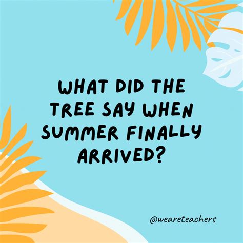Jokes About Summer