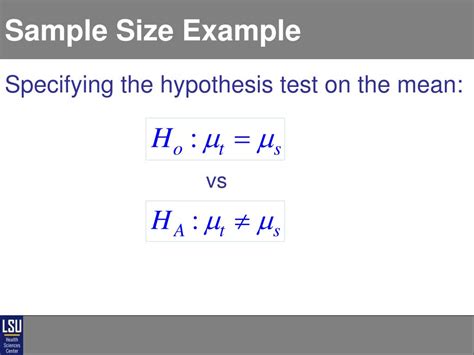 Image result for Sample Size Example