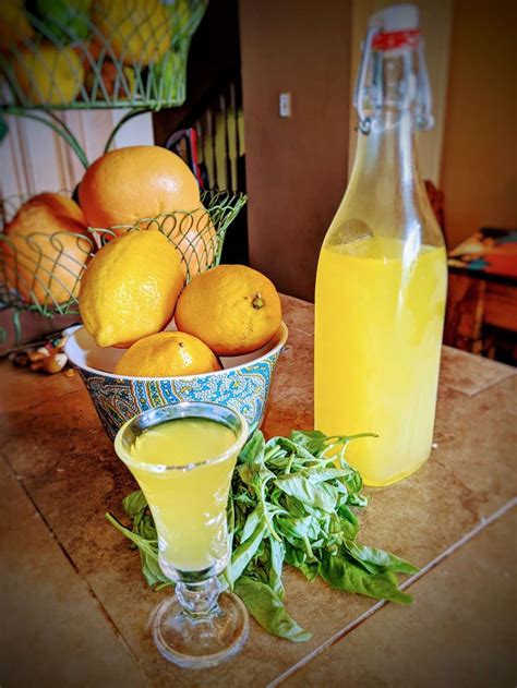 Best Limoncello Recipes