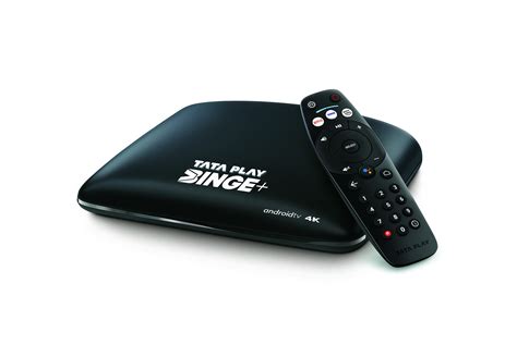 Tata Play Binge Plus Netflix Combo Packs Wifi Only Hindi | Desertcart INDIA