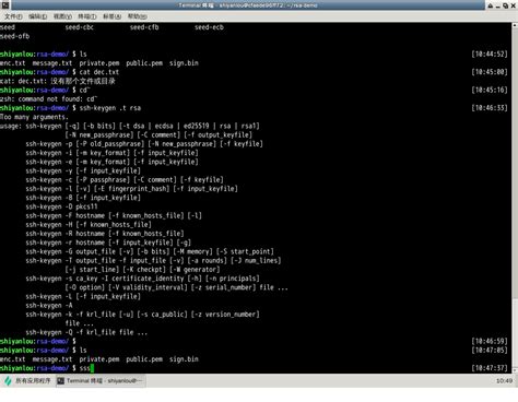 How to Pull RSA Token From EXEFile 的图像结果