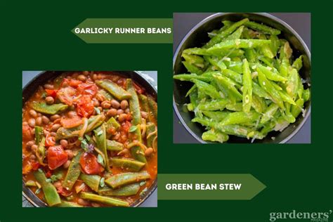 Runner Beans Recipe 的图像结果
