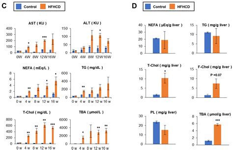 Development of the Rabbit NASH Model Resembling Human NASH and ...