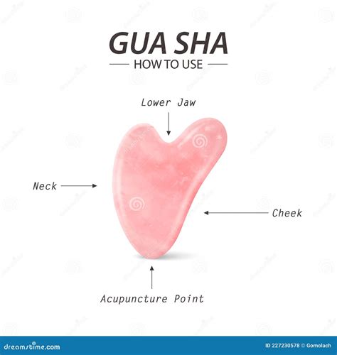 Benefits Of A Gua Sha Facial Massage. Infographic Poster. Cartoon Vector | CartoonDealer.com ...