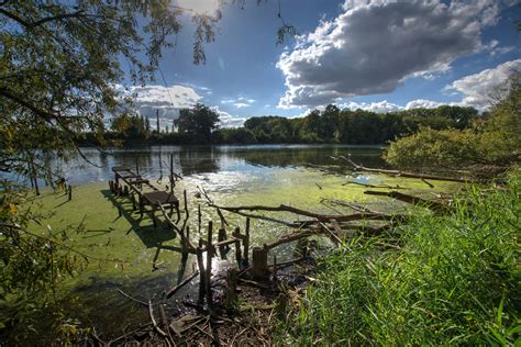 Altrhein bei Altrip Foto & Bild | landschaft, bach, fluss & see, flüsse ...