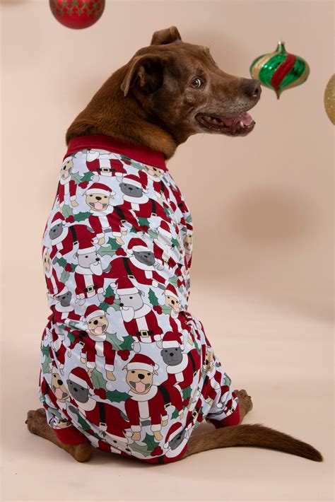 Matching Christmas Dog Pajamas | Santa Paws – Darren & Phillip