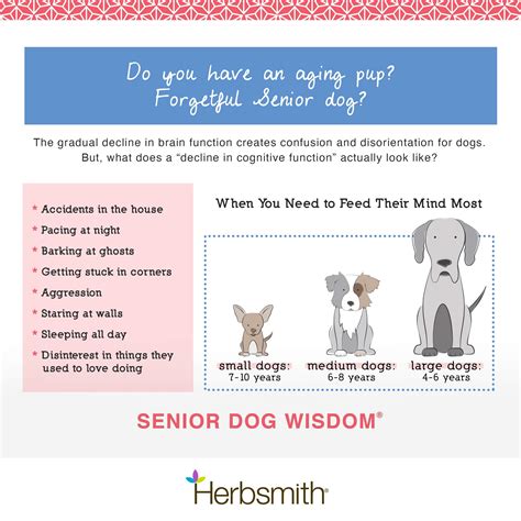 Why Is My Cat Having Accidents In The House at Evie Rounsevell blog