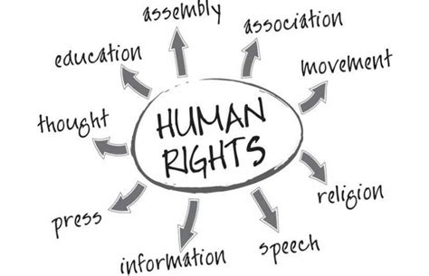 National Human Rights Organisation (NHRO)