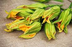 pastella x friggere fiori di zucca ricetta fiori di zucca in pastella gnambox pastella x friggere fiori di zucca ricetta fiori di zucca in pastella gnambox