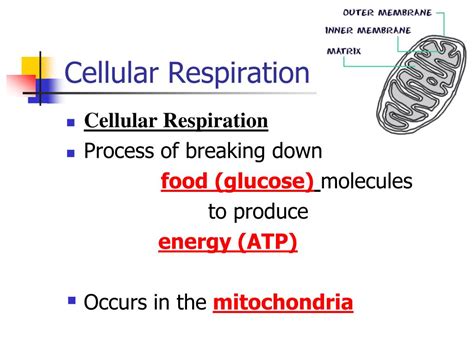 Energy Molecule 的图像结果