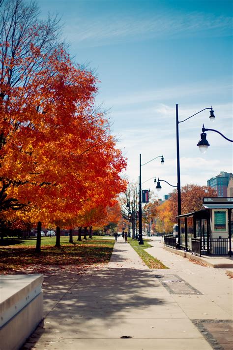 Campus is beautiful! : r/UIUC