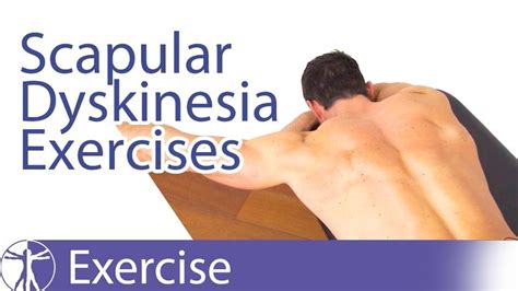 Image result for Scapular Dysfunction Exercises