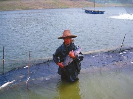 山西水库钓鱼好地方有哪些（山西省内十大水库位置一览） – 碳资讯