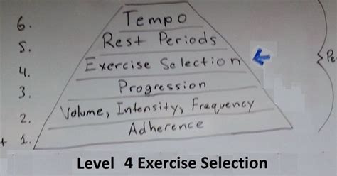 the muscle and strength training pyramid v2.0 nutrition