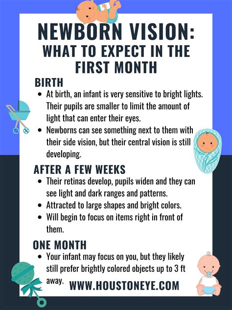 When Can Babies See Animals at Kelly Duppstadt blog