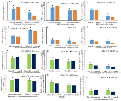 Comprehensive Transcriptomic Analysis Reveals Defense-Related Genes and ...