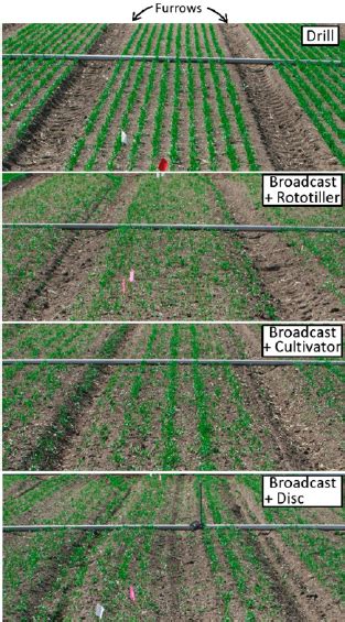 Broadcasting Planting 的图像结果