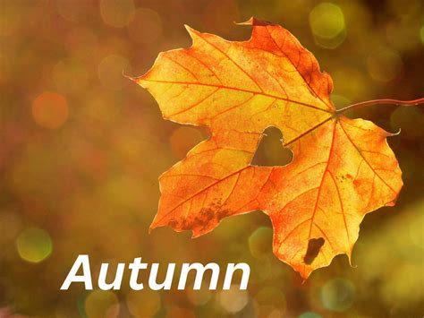 Autumn: History, Celebration and Scientific Facts - Calendarr
