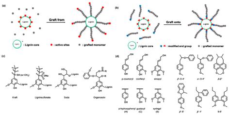 Recent Advances in Antioxidant Polymers: From Sustainable and Natural ...