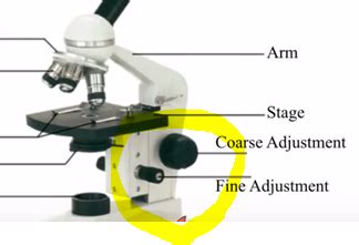 Image result for Course Focus Microscope Function