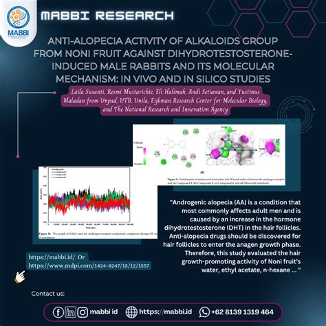 Anti-Alopecia Activity of Alkaloids Group from Noni Fruit against Dihydrotestosterone-Induced ...