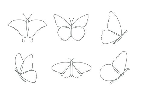 Butterfly Drawing Outline
