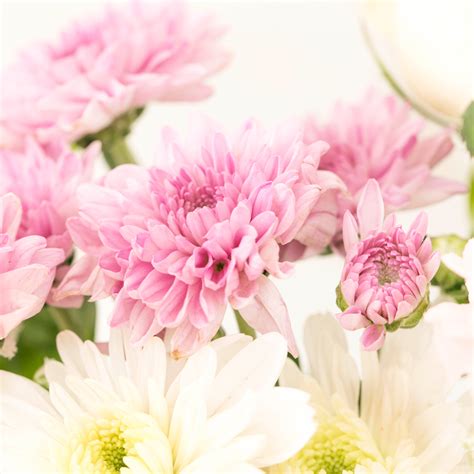 Subscribe to Cut Flowers - DIY Assortment – The Flora