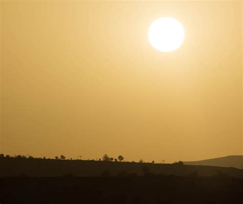 Australian Gold Suncare