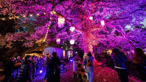 Événement au Luxembourg: La magie de l'hiver dans un décor féérique à ...
