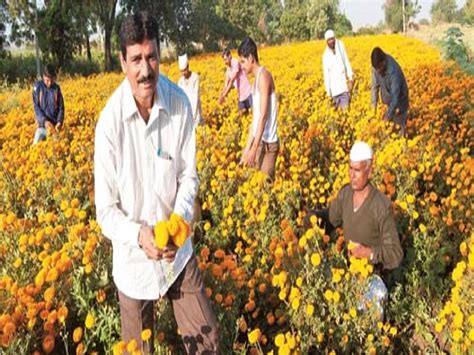 महाराष्ट्रातील सर्वात श्रीमंत गाव! येथे राहतात देशातील 60 करोडपती ...