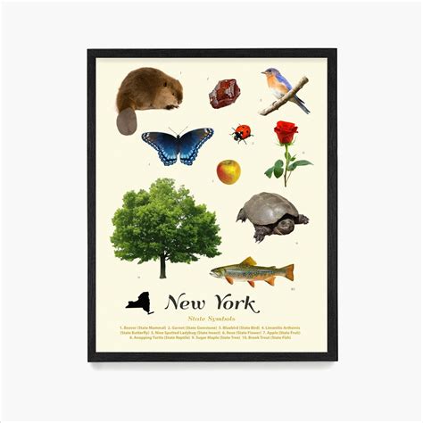 New York State Symbols Poster New York Wall Art New York - Etsy
