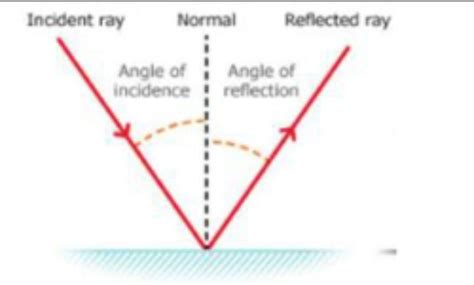 draw a neat labelled diagram of reflection of light - Brainly.in