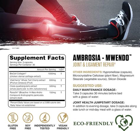 Buy Ambrosia Mwendo - Joint & Ligament Repair | Strengthen Tendons ...