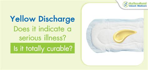Yellow Discharge - Causes and Risks! - intouchmedicare