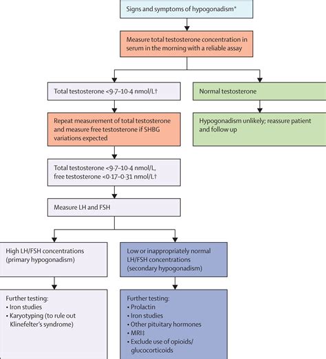 Male hypogonadism - The Lancet
