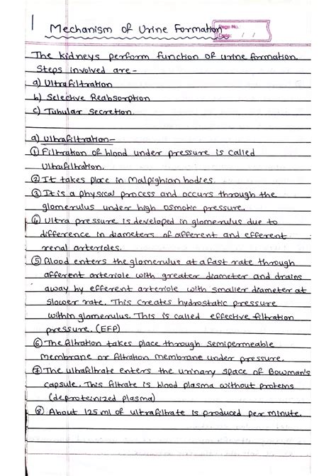 Mechanism of Urine Formation | PDF