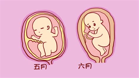 怀孕1到10个月肚子图片_怀孕肚子逐渐变化图 - 电影天堂
