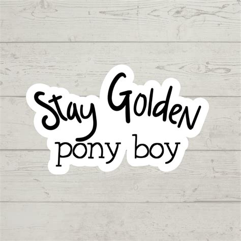 Stay Golden Pony Boy Sticker Waterproof Glossy Vinyl Sticker Cute Gift ...