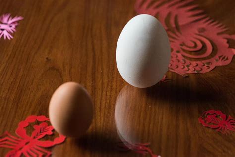 科学解释春分竖蛋是什么意思 春分为什么竖蛋 有什么意义_奇象网