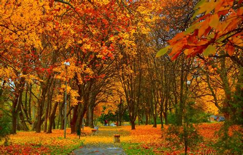 Wallpaper Autumn, Trees, Lights, Park, Fall, Park, Autumn, Colors for ...
